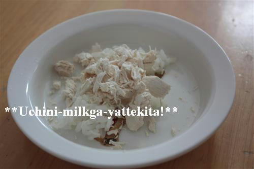 IMG_6868_RR.jpg