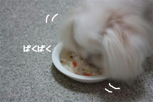 IMG_6875_RR.jpg