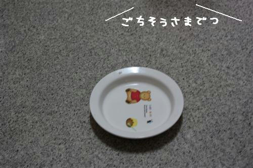 IMG_6876_RR.jpg