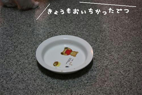 IMG_7070_RR.jpg