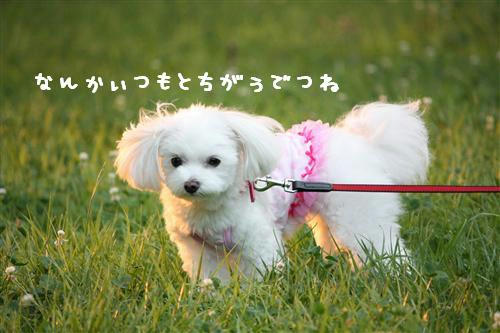 IMG_7167_RR.jpg