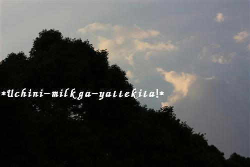IMG_7214_RR.jpg