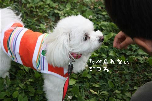 IMG_7313_RR.jpg