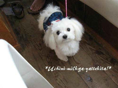 IMG_1115_RR.jpg