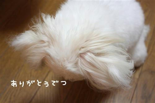 IMG_7391_RR.jpg