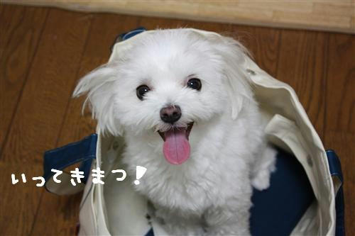 IMG_7445_RR.jpg