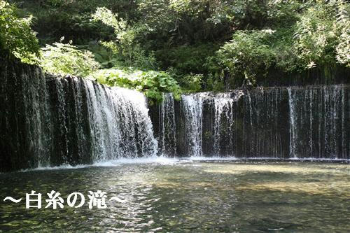 IMG_7568_RR.jpg