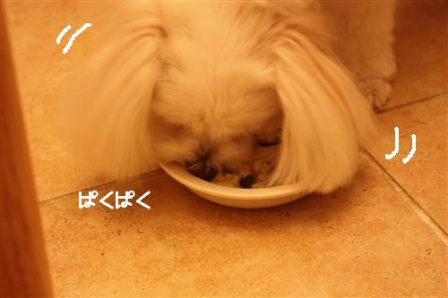 IMG_7681_RR.jpg