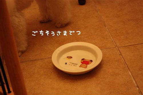 IMG_7684_RR.jpg