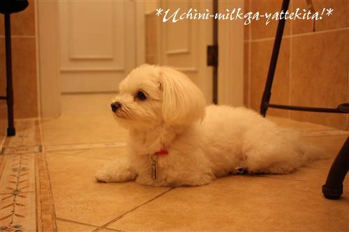 IMG_7690_RR.jpg
