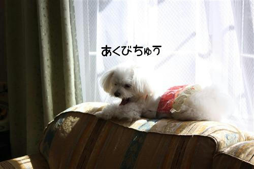 IMG_7776_RR.jpg