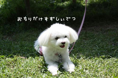 IMG_7898_RR.jpg