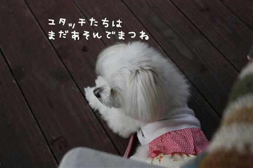 IMG_8036_RR.jpg