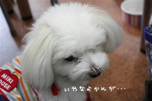 IMG_8159_RR.jpg