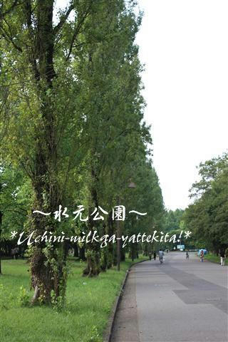 IMG_8193_RR.jpg
