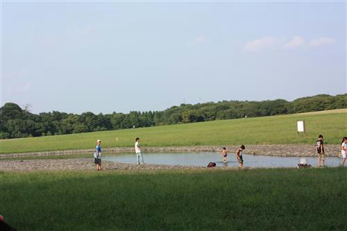 IMG_8204_RR.jpg