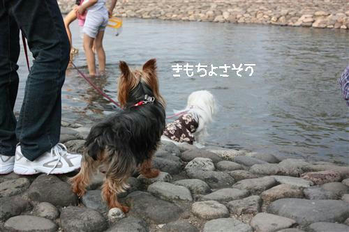 IMG_8208_RR.jpg