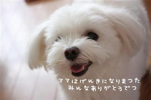 IMG_8557_RR.jpg