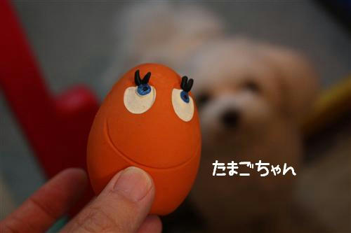 IMG_8359_RR.jpg