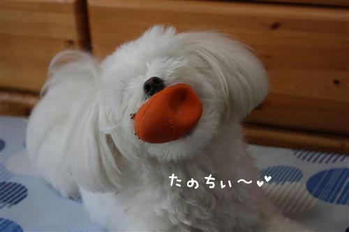 IMG_8421_RR.jpg