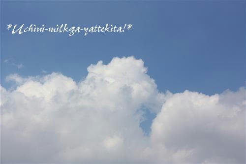 IMG_8495_RR.jpg