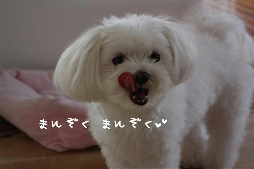 IMG_8538_RR.jpg
