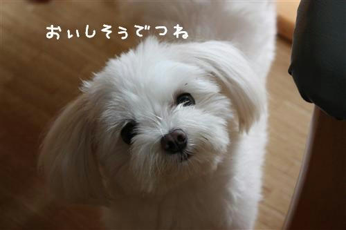 IMG_8641_RR.jpg