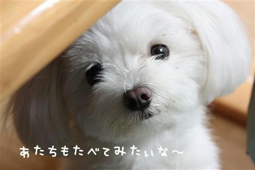 IMG_8642_RR.jpg