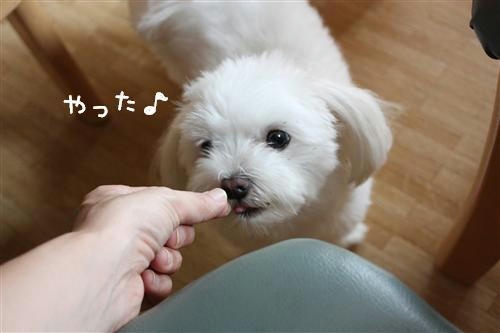 IMG_8647_RR.jpg