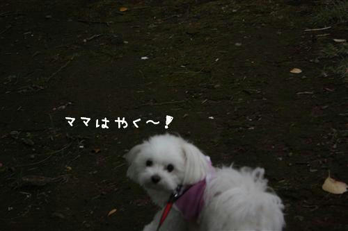 IMG_8818_RR.jpg