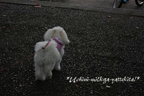 IMG_8822_RR.jpg
