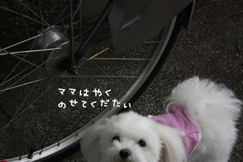 IMG_8827_RR.jpg