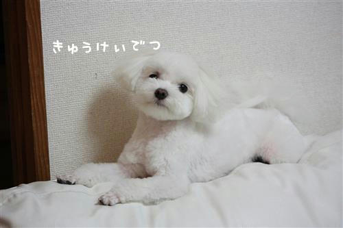 IMG_8959_RR.jpg