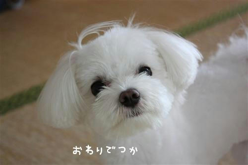 IMG_9076_RR.jpg
