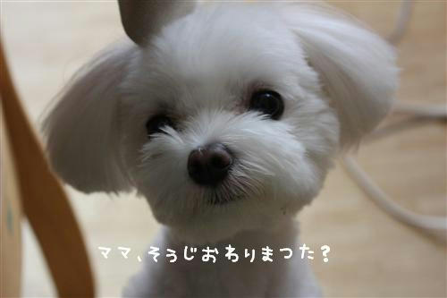 IMG_9096_RR.jpg