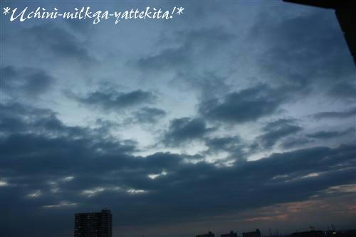 IMG_9229_RR.jpg