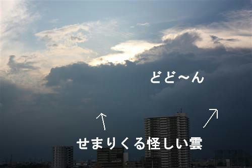 IMG_9415_RR.jpg
