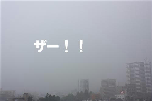 IMG_9449_RR.jpg