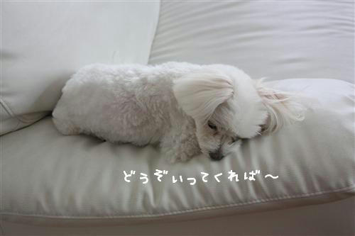 IMG_9606_RR.jpg