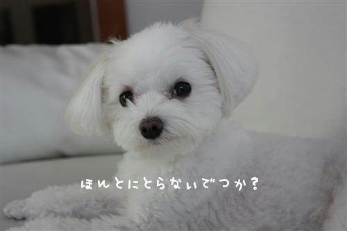 IMG_9689_RR.jpg