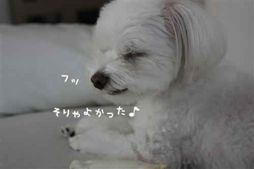 IMG_9686_RR.jpg