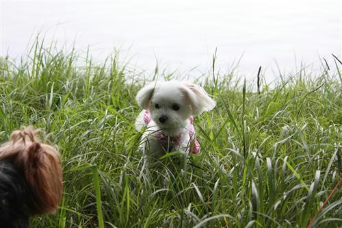 IMG_9848_RR.jpg