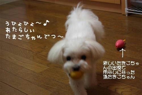 IMG_0024_RR.jpg