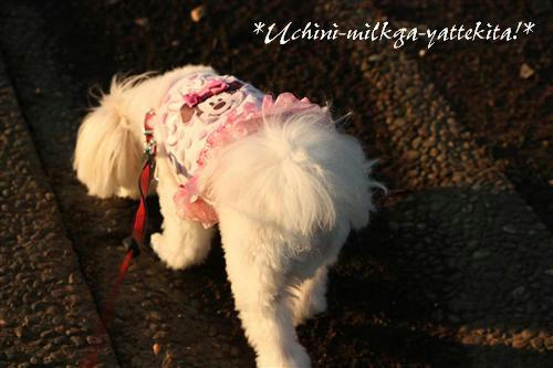 IMG_0180_RR.jpg