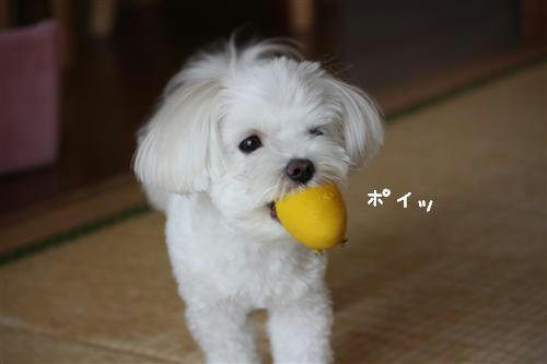 IMG_0264_RR.jpg