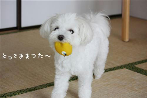 IMG_0293_RR.jpg