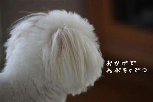 IMG_0393_RR.jpg