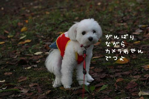 IMG_0358_RR.jpg