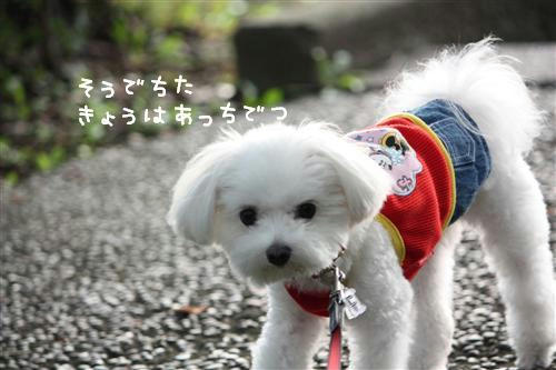 IMG_0372_RR.jpg