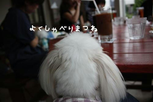 IMG_0691_RR.jpg